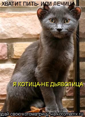 Котоматрица: ХВАТИТ ПИТЬ- ИДИ ЛЕЧИЦА Я КОТИЦА-НЕ ДЬЯВОЛИЦА
