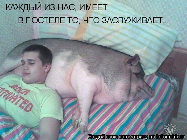 Котоматрица: КАЖДЫЙ ИЗ НАС, ИМЕЕТ В ПОСТЕЛЕ ТО, ЧТО ЗАСЛУЖИВАЕТ...