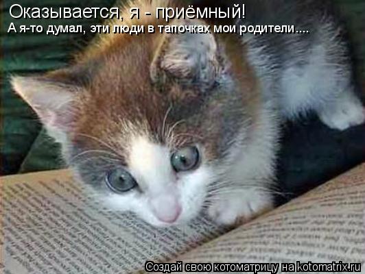 Оказывается, я - приёмный! А я-то думал, эти люди в тапочках мои родители....... Котоматрица: Оказывается, я - приёмный! А я-то думал, эти люди в тапочках мои родители....