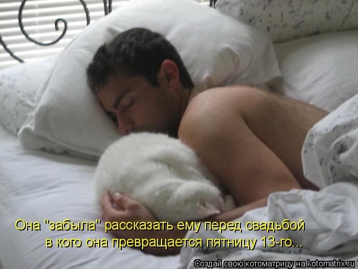 Котоматрица: Она "забыла" рассказать ему перед свадьбой в кого она превращается пятницу 13-го...