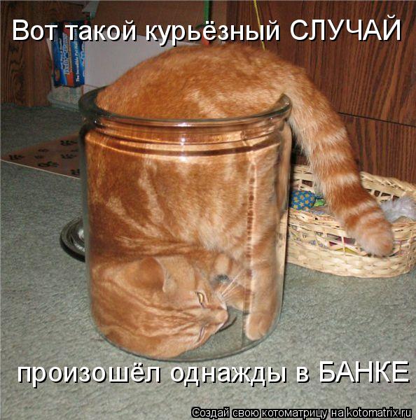 Котоматрица: произошёл однажды в БАНКЕ Вот такой курьёзный СЛУЧАЙ