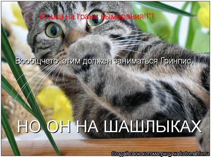 Котоматрица: Кошка на грани вымирания!!"! Вообщчето, этим должен заниматься Гринпис, НО ОН НА ШАШЛЫКАХ