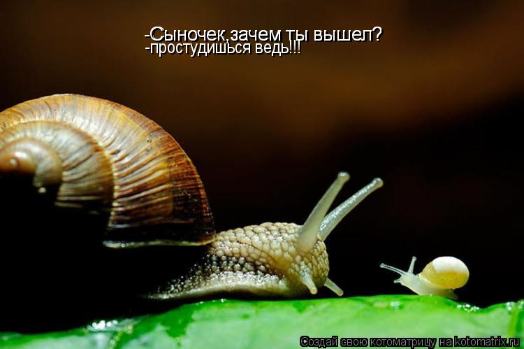 Котоматрица: Сыночек,зачем ты вышел? -Сыночек,зачем ты вышел? -Сыночек,зачем ты вышел? -простудишься ведь!!! -простудишься ведь!!!