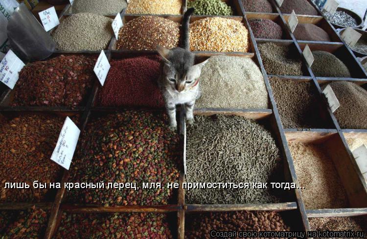 Котоматрица: лишь бы на красный перец, мля, не примоститься как тогда...