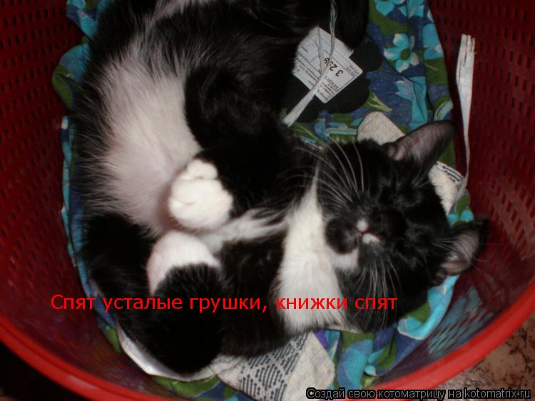 Котоматрица: Спят усталые грушки, книжки спят