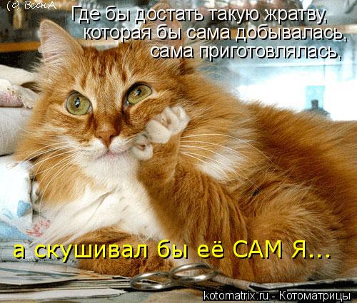 Где бы достать такую жратву, которая бы сама добывалась, сама приготовлялась, а скушивал бы её САМ Я.... Котоматрица: Где бы достать такую жратву, которая бы сама добывалась, сама приготовлялась, а скушивал бы её САМ Я...