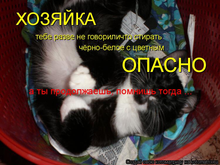ХОЗЯЙКА тебе разве не говориличто стирать чёрно-белое с цветным ОПАСНО а ты продолжаешь, помнишь тог... Котоматрица: ХОЗЯЙКА тебе разве не говориличто стирать чёрно-белое с цветным ОПАСНО а ты продолжаешь, помнишь тогда ...