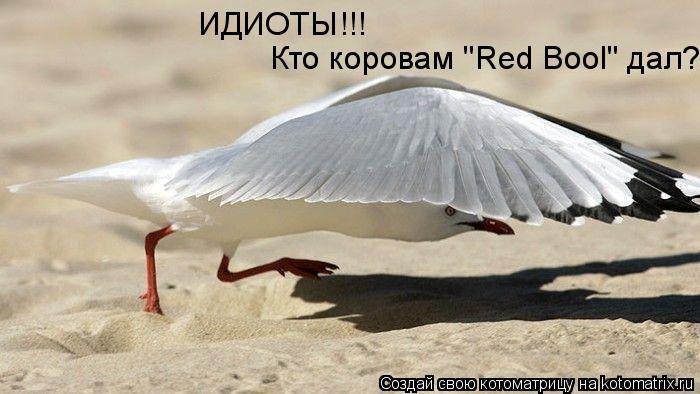 Кто коровам "Red Bool" дал? ИДИОТЫ!!!... Котоматрица: Кто коровам "Red Bool" дал? ИДИОТЫ!!!