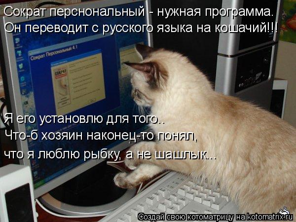 Сократ перснональный - нужная программа. Он переводит с русского языка на кошачий!!! что я люблю рыбк... Котоматрица: Сократ перснональный - нужная программа. Он переводит с русского языка на кошачий!!! что я люблю рыбку, а не шашлык... Я его установлю для того.