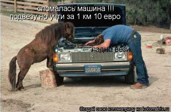 сломалась машина !!! подвезу но учти за 1 км 10 евро ладно вези... Котоматрица: сломалась машина !!! подвезу но учти за 1 км 10 евро ладно вези