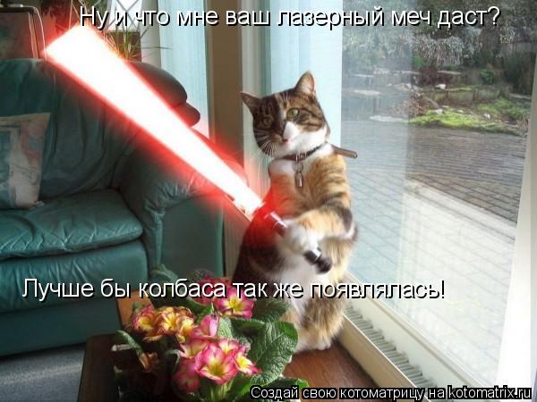 Ну и что мне ваш лазерный меч даст? Лучше бы колбаса так же появлялась!... Котоматрица: Ну и что мне ваш лазерный меч даст? Лучше бы колбаса так же появлялась!
