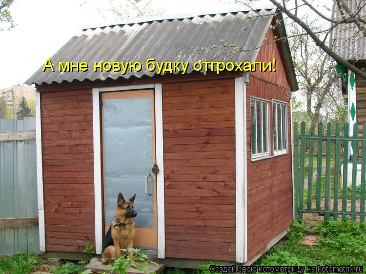 Котоматрица: А мне новую будку отгрохали!