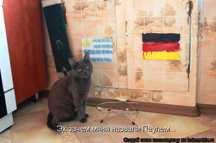 Котоматрица: Эх зачем мяня назвали Паулем...