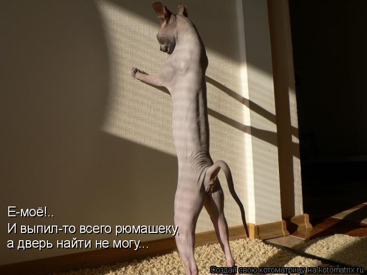 Котоматрица: Е-моё!.. И выпил-то всего рюмашеку, а дверь найти не могу...