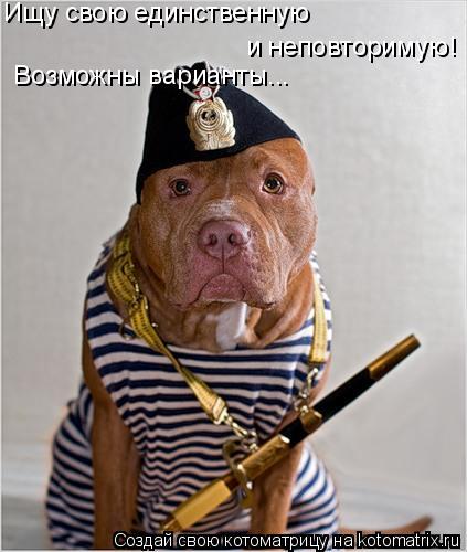 Котоматрица: Ищу свою единственную и неповторимую! Возможны варианты...