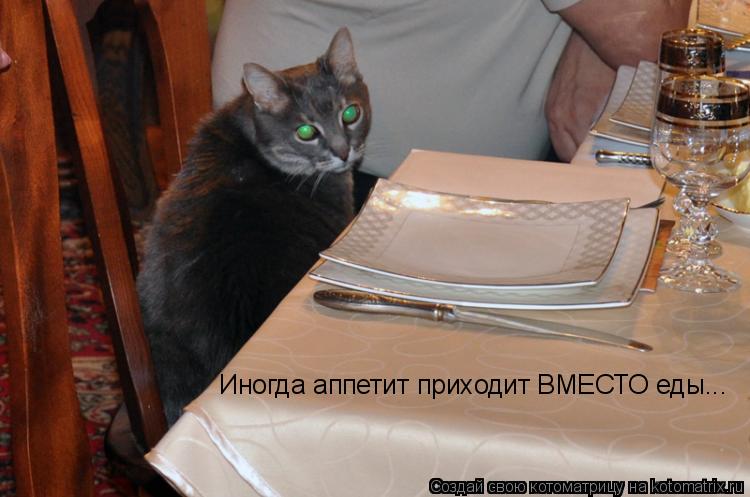 Котоматрица: Иногда аппетит приходит ВМЕСТО еды...