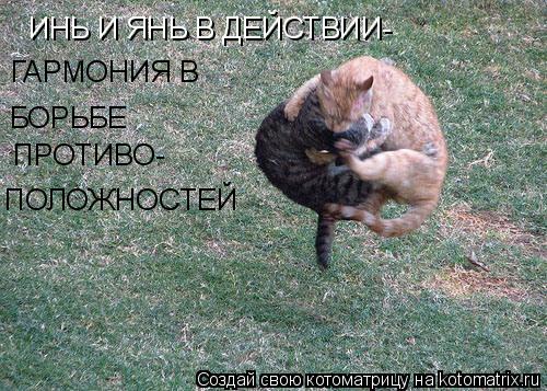 ИНЬ И ЯНЬ В ДЕЙСТВИИ- ГАРМОНИЯ В БОРЬБЕ ПРОТИВО- ПОЛОЖНОСТЕЙ... Котоматрица: ИНЬ И ЯНЬ В ДЕЙСТВИИ- ГАРМОНИЯ В БОРЬБЕ ПРОТИВО- ПОЛОЖНОСТЕЙ