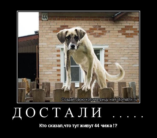 Достали ..... Кто сказал,что тут живут 44 чижа !?... Котоматрица: Достали ..... Кто сказал,что тут живут 44 чижа !?