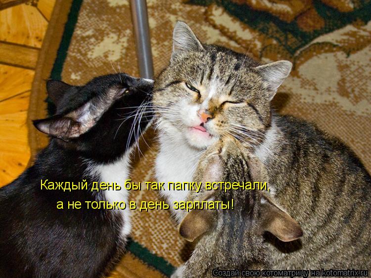 Каждый день бы так папку встречали, а не только в день зарплаты!... Котоматрица: Каждый день бы так папку встречали, а не только в день зарплаты!