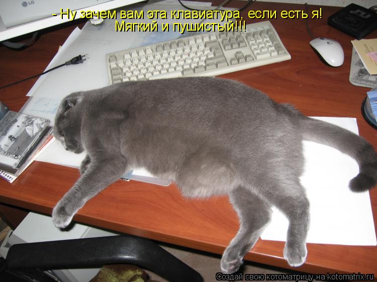 - Ну зачем вам эта клавиатура, если есть я! Мягкий и пушистый!!!... Котоматрица: - Ну зачем вам эта клавиатура, если есть я! Мягкий и пушистый!!!