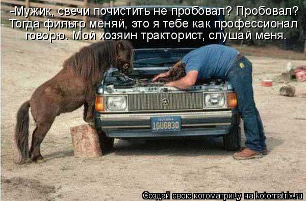 -Мужик, свечи почистить не пробовал? Пробовал? Тогда фильтр меняй, это я тебе как профессионал гово... Котоматрица: -Мужик, свечи почистить не пробовал? Пробовал? Тогда фильтр меняй, это я тебе как профессионал говорю. Мой хозяин тракторист, слушай меня.