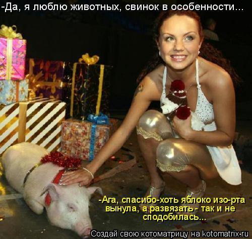 -Да, я люблю животных, свинок в особенности... -Ага, спасибо-хоть яблоко изо-рта вынула, а развязать ... Котоматрица: -Да, я люблю животных, свинок в особенности... -Ага, спасибо-хоть яблоко изо-рта вынула, а развязать - так и не сподобилась...
