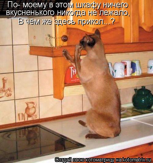 По- моему в этом шкафу ничего вкусненького никогда не лежало, В чём же здесь прикол...?... Котоматрица: По- моему в этом шкафу ничего вкусненького никогда не лежало, В чём же здесь прикол...?