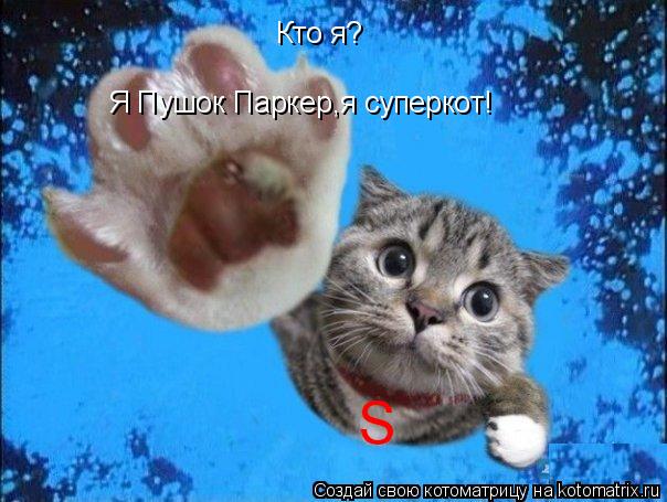 Кто я? Я Пушок Паркер,я суперкот! S... Котоматрица: Кто я? Я Пушок Паркер,я суперкот! S