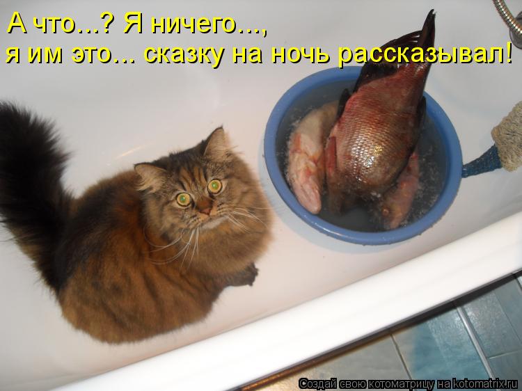А что...? Я ничего..., я им это... сказку на ночь рассказывал!... Котоматрица: А что...? Я ничего..., я им это... сказку на ночь рассказывал!