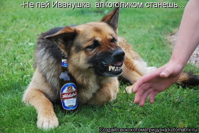 -Не пей Иванушка, алкоголиком станешь...... Котоматрица: -Не пей Иванушка, алкоголиком станешь...
