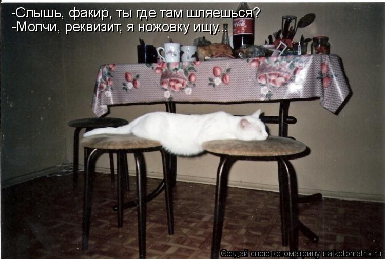 -Слышь, факир, ты где там шляешься? -Молчи, реквизит, я ножовку ищу...... Котоматрица: -Слышь, факир, ты где там шляешься? -Молчи, реквизит, я ножовку ищу...