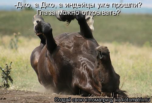 -Джо, а Джо, а индейцы уже прошли? Глаза можно открывать?... Котоматрица: -Джо, а Джо, а индейцы уже прошли? Глаза можно открывать?