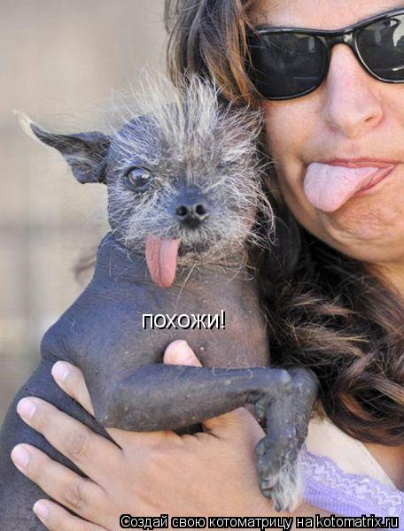 Котоматрица: похожи!