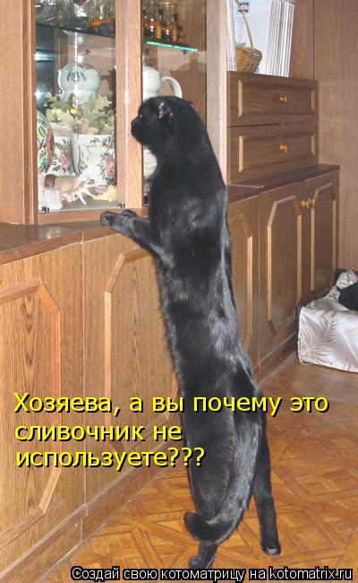 Котоматрица: Хозяева, а вы почему это сливочник не  используете???