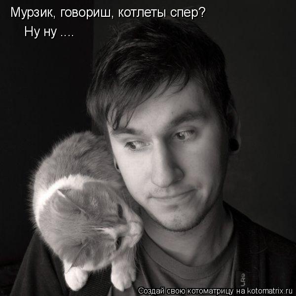 Котоматрица: Мурзик, говориш, котлеты спер? Ну ну ....