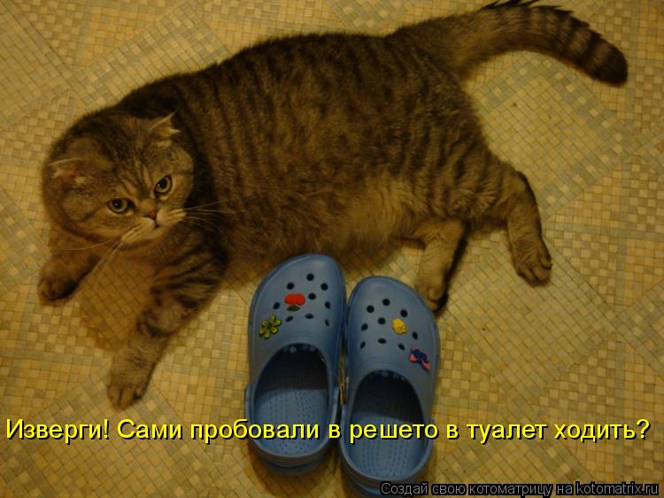 Котоматрица: Изверги! Сами пробовали в решето в туалет ходить?