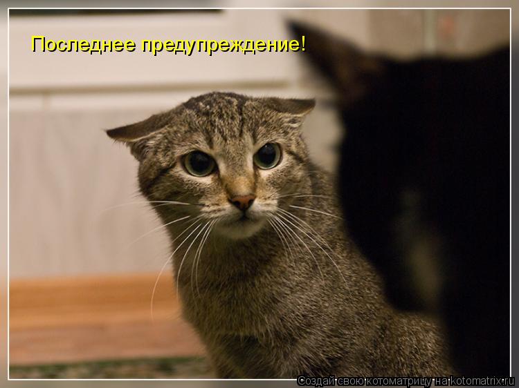 Котоматрица: Последнее предупреждение!