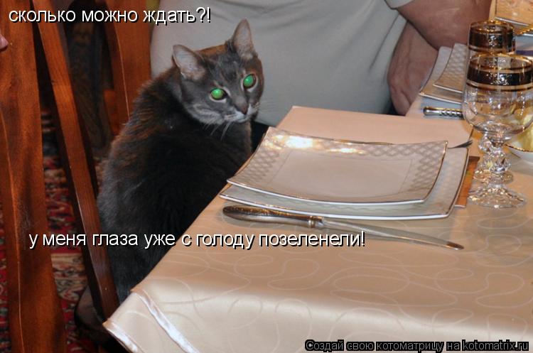 Котоматрица: сколько можно ждать?! у меня глаза уже с голоду позеленели!