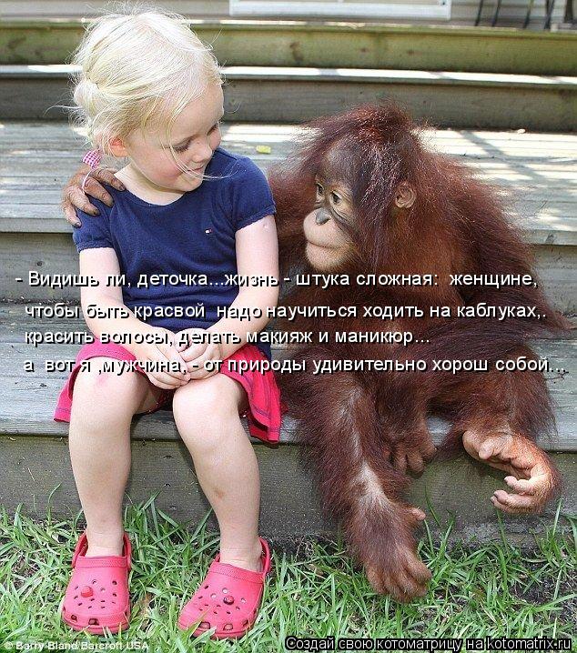 Котоматрица: - Видишь ли, деточка...жизнь - штука сложная:  женщине, чтобы быть красвой  надо научиться ходить на каблуках,. красить волосы, делать макияж и 