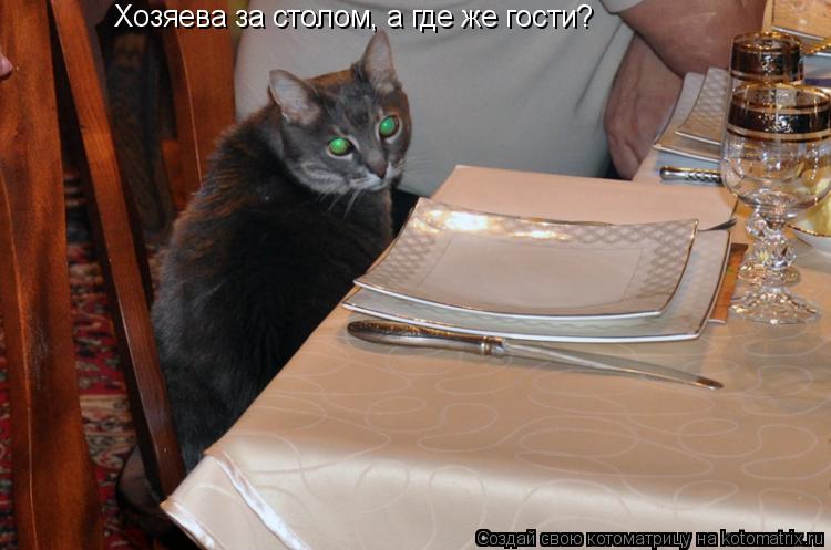 Котоматрица: Хозяева за столом, а где же гости?