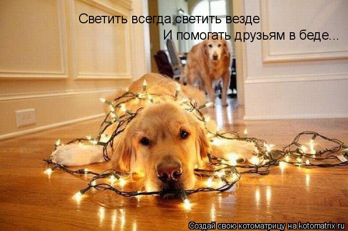 Котоматрица: Светить всегда,светить везде И помогать друзьям в беде...