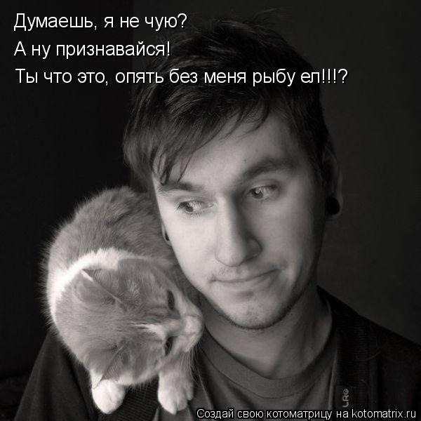 Котоматрица: Думаешь, я не чую? А ну признавайся! Ты что это, опять без меня рыбу ел!!!?