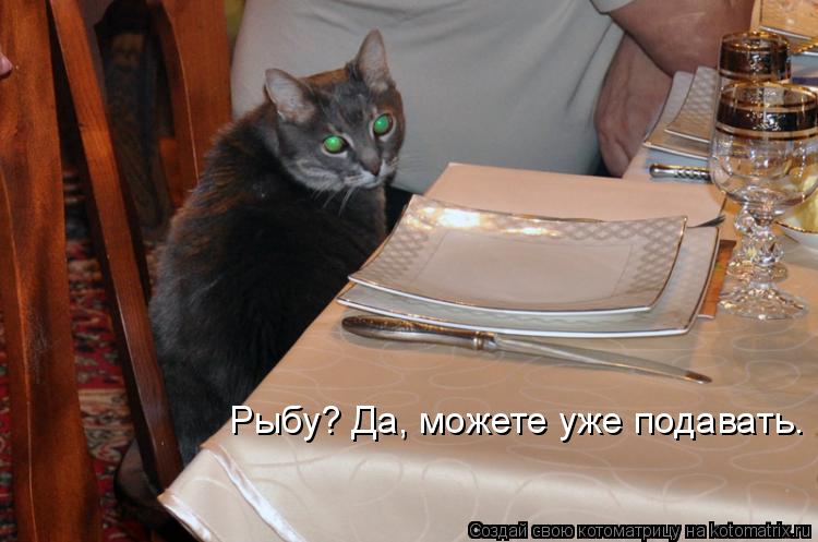 Котоматрица: Рыбу? Да, можете уже подавать.