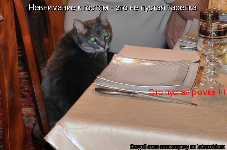 Котоматрица: Невнимание к гостям - это не пустая тарелка. Невнимание к гостям - это не пустая тарелка.     Это пустая рюмка!!!!     Это пустая рюмка!!!!