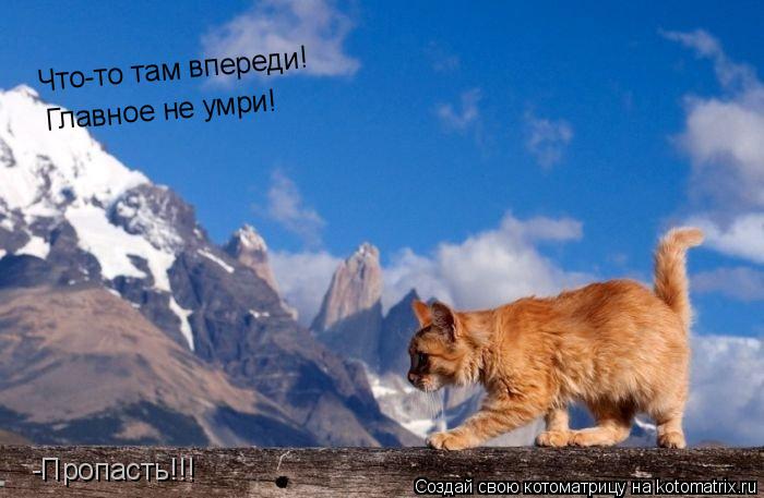 Котоматрица: Что-то там впереди! Главное не умри! -Пропасть!!!