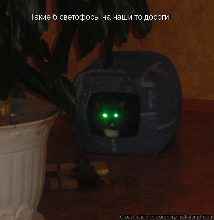 Котоматрица: Такие б светофоры на наши то дороги!