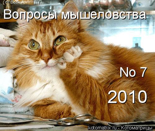 Вопросы мышеловства No 7 2010... Котоматрица: Вопросы мышеловства No 7 2010