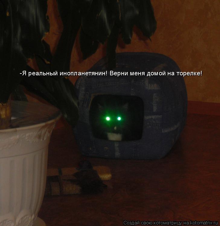 Котоматрица: -Я реальный инопланетянин! Верни меня домой на торелке!