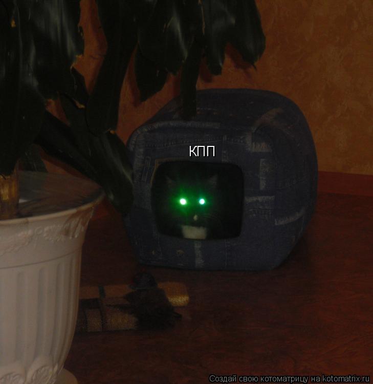 Котоматрица: КПП