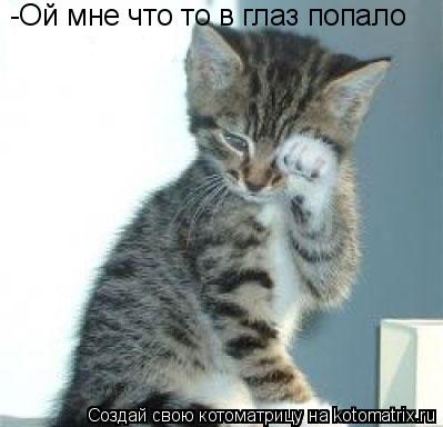-Ой мне что то в глаз попало... Котоматрица: -Ой мне что то в глаз попало